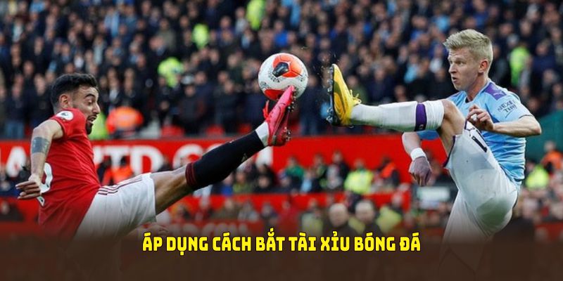 Áp dụng cách bắt tài xỉu bóng đá đúng để chiến thắng