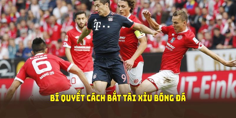 Bí quyết cách bắt tài xỉu bóng đá tăng tỷ lệ thắng dài hạn