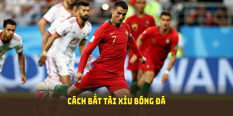 Cách bắt tài xỉu bóng đá