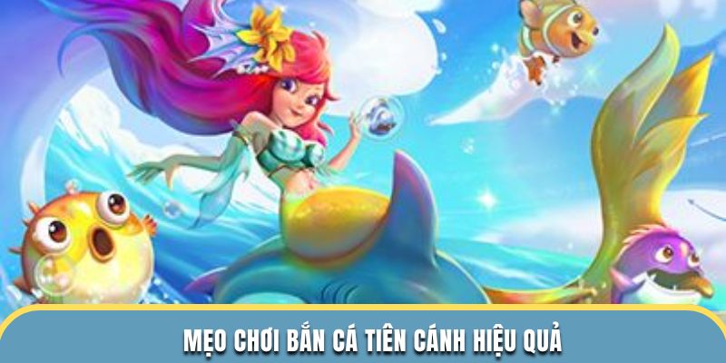 Mẹo chơi bắn cá tiên cánh hiệu quả 
